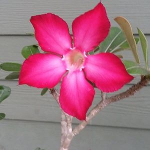 Meet your Posher, Judy